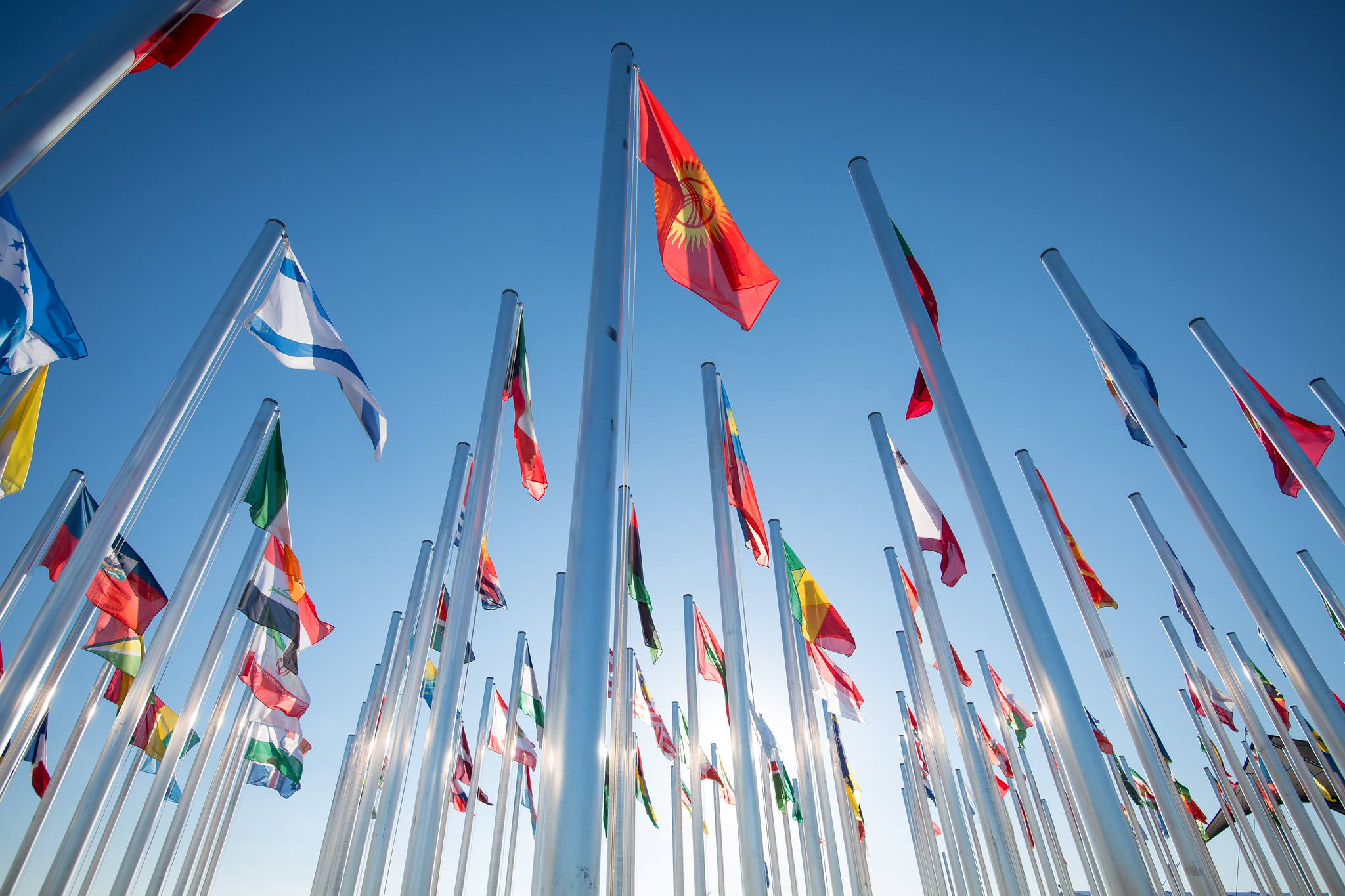 Country Flags outside the UN conference venue